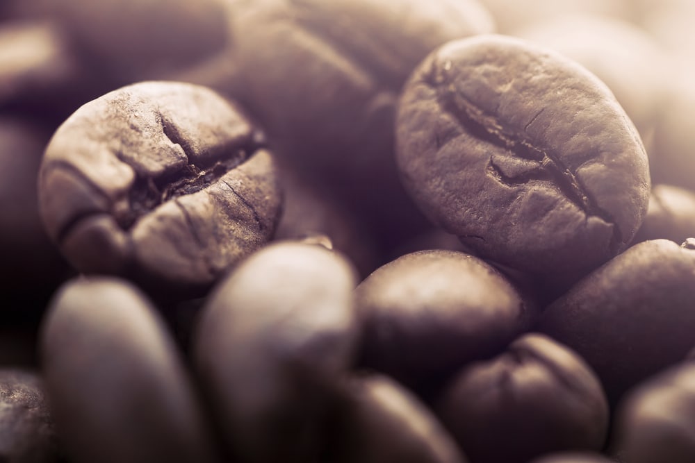 Kaffee &Amp; Espresso Rösten